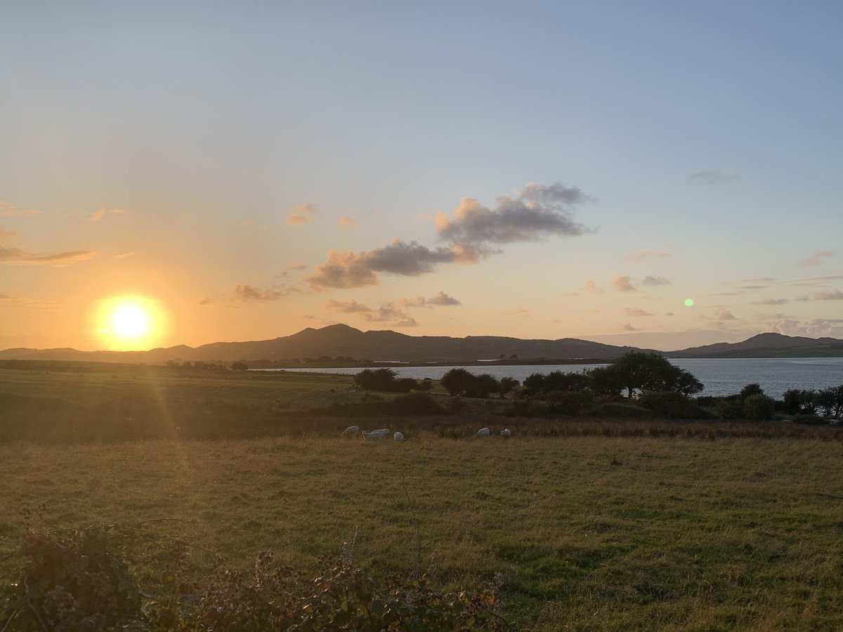 WeeBoycie1's tweet image. Ganiamore showing off all her curves last night 🧡🧡🧡 #NaDúnaibh #Downings