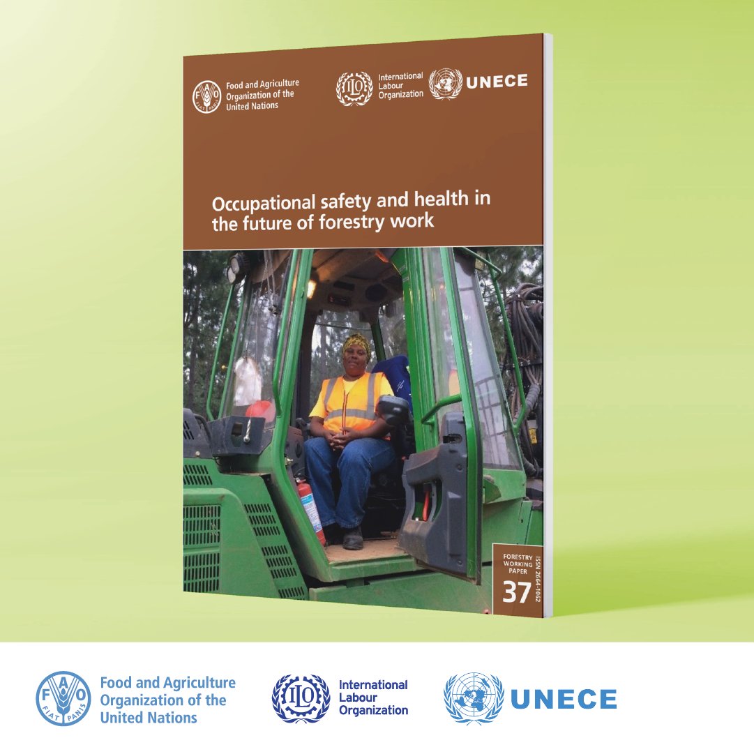 FAOForestry's tweet photo. Download a free publication from @FAO @ilo and @UNECE 

Occupational safety and health in the future of forestry work 

👉 https://t.co/RrkyRdE7Yw https://t.co/pwQf8itGbx