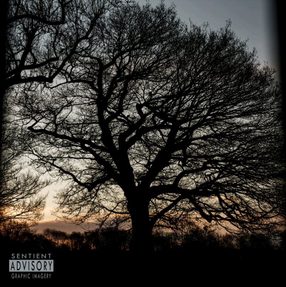 JonesMonthly's tweet photo. Starting the week by checking out the 🆕 @goldonthemixer release from @broommanherro & #Deeq 🙌. Heavy features from @Amosquitoquotes & #Jaroo 🔥
Unmissable #UKHipHop at it's best 💪
Grab yourself a copy here 👇
https://t.co/n3M0aJTwGP
#UKHH #UKRap #hiphop #UKBeats #rap https://t.co/MXm5FegJ4W