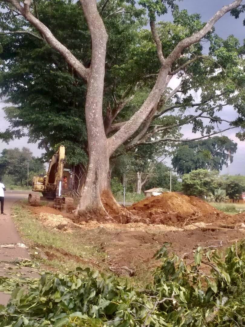 Mayor Aggrey Akiiki tweet media