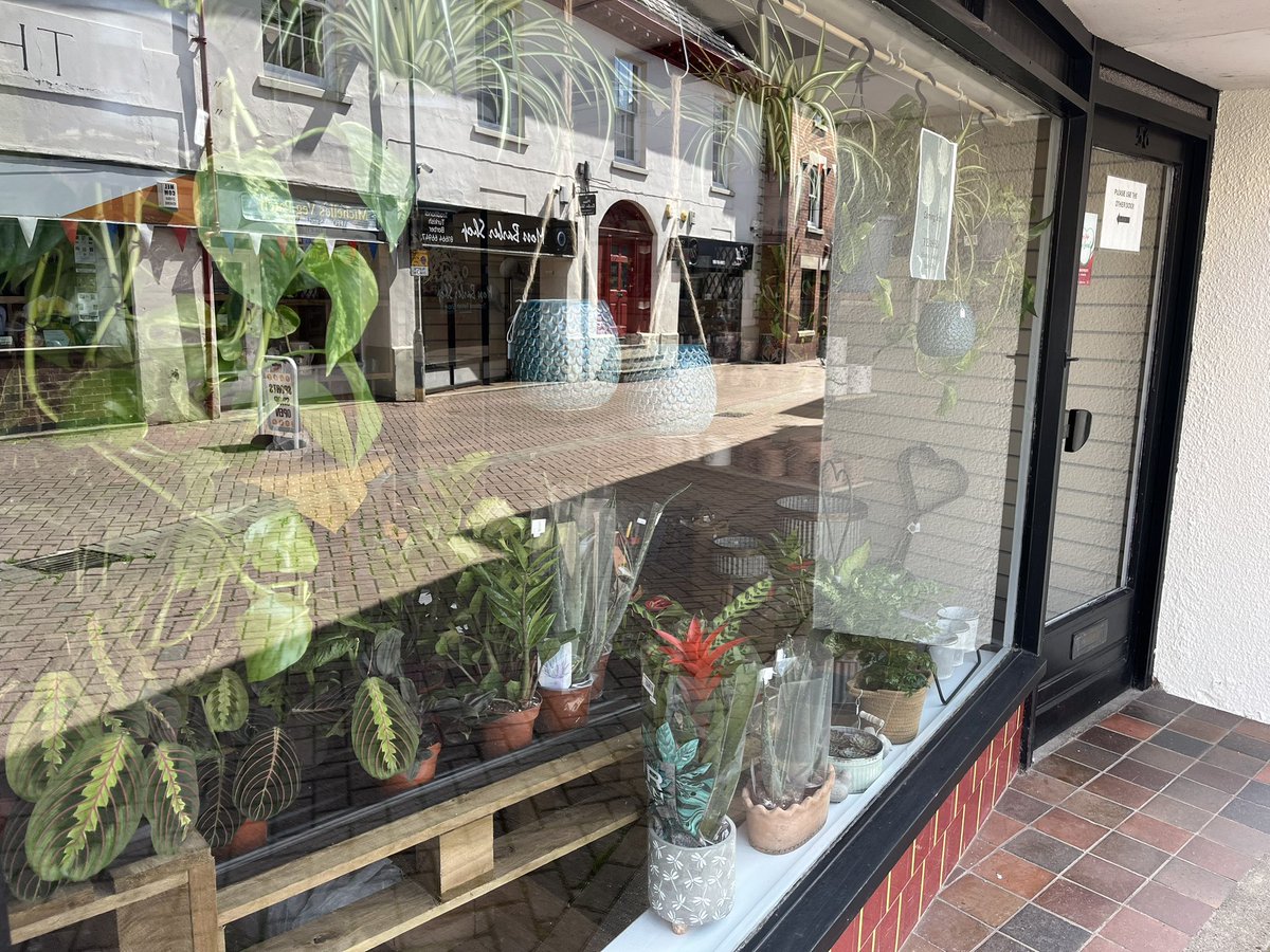 MeltonBid's tweet photo. Another new business start up in King Street 🎉Teasels, a beautiful new home, garden &amp; gift shop will hopefully be opening it’s doors this Wednesday 9th August! melton #meltonmowbray #giftshop #newbusiness #homewarestore #gifts #gardenware #supportlocal  @meltontimes @MyMelton6 https://t.co/dwWCcO8VKu