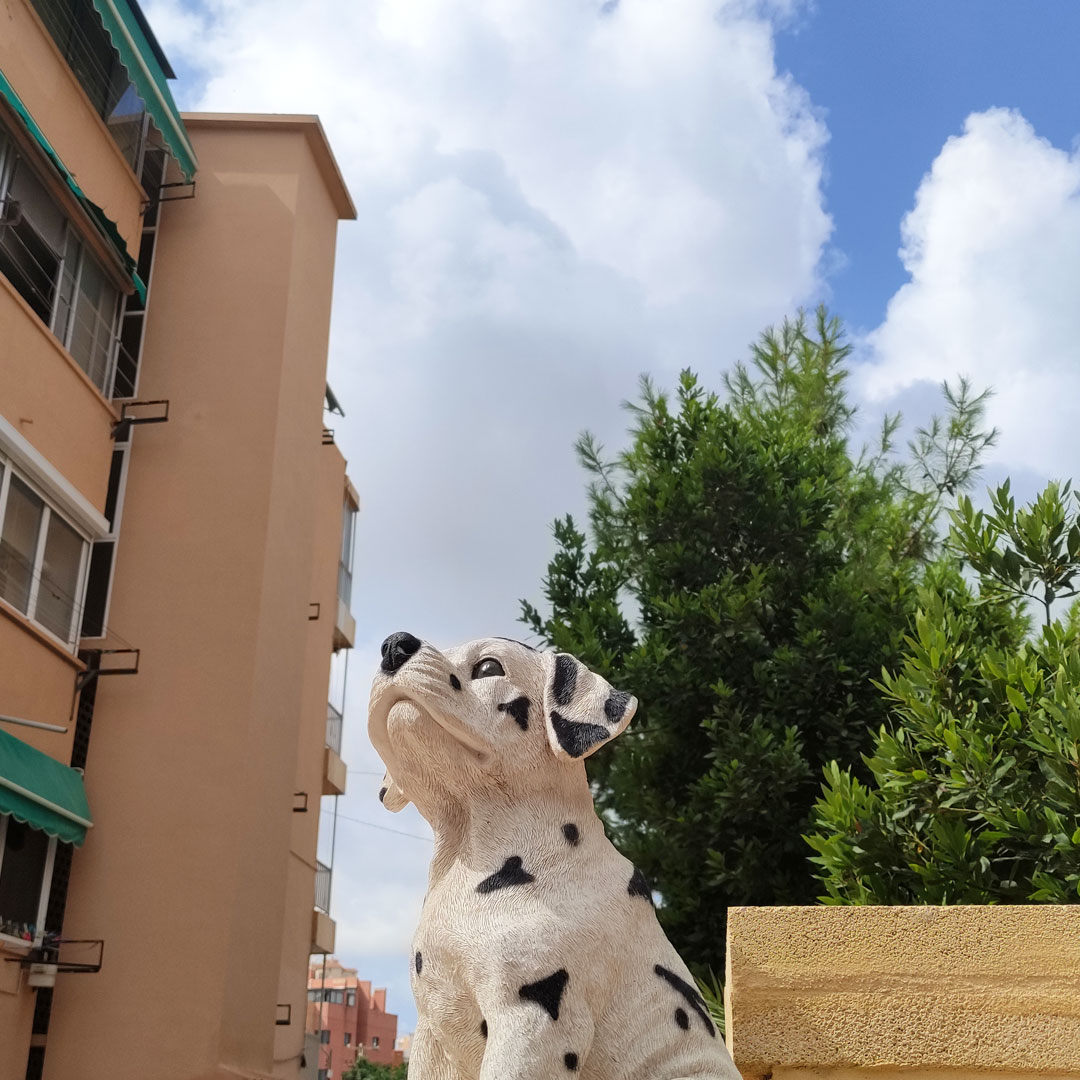 𝐄𝐥 𝐜𝐮𝐢𝐝𝐚 𝐠𝐚𝐥𝐥𝐢𝐧𝐚𝐬 🖌️ Todos los perros van al cielo, ¿no? 🎨 35x27cm óleo, spray y lápices de colores sobre lienzo