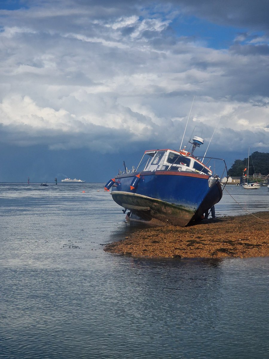 Ryde Rescue tweet media