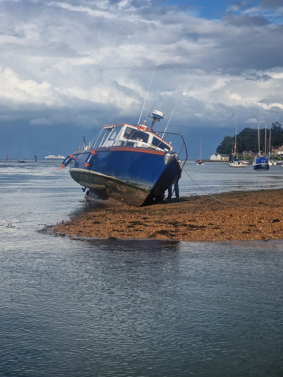 Ryde Rescue tweet media