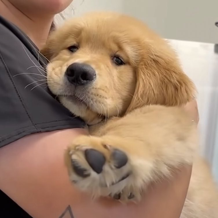 แม่ ม๋าดำมันแกล้งหนู มันล้อหนูว่าน้ามส้วม