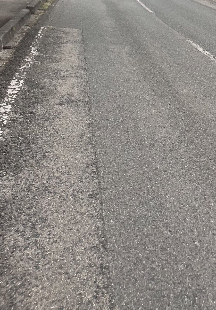 pemo_____'s tweet image. そしてぺもは帰路に着く（？）