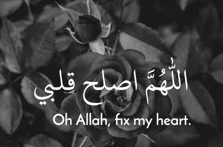 Recite and Retweet