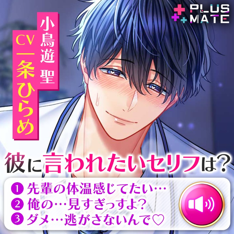 プラスメイト PLUSMATE 小鳥遊聖 AGF乙女ゲーム好きな人はまずこれを