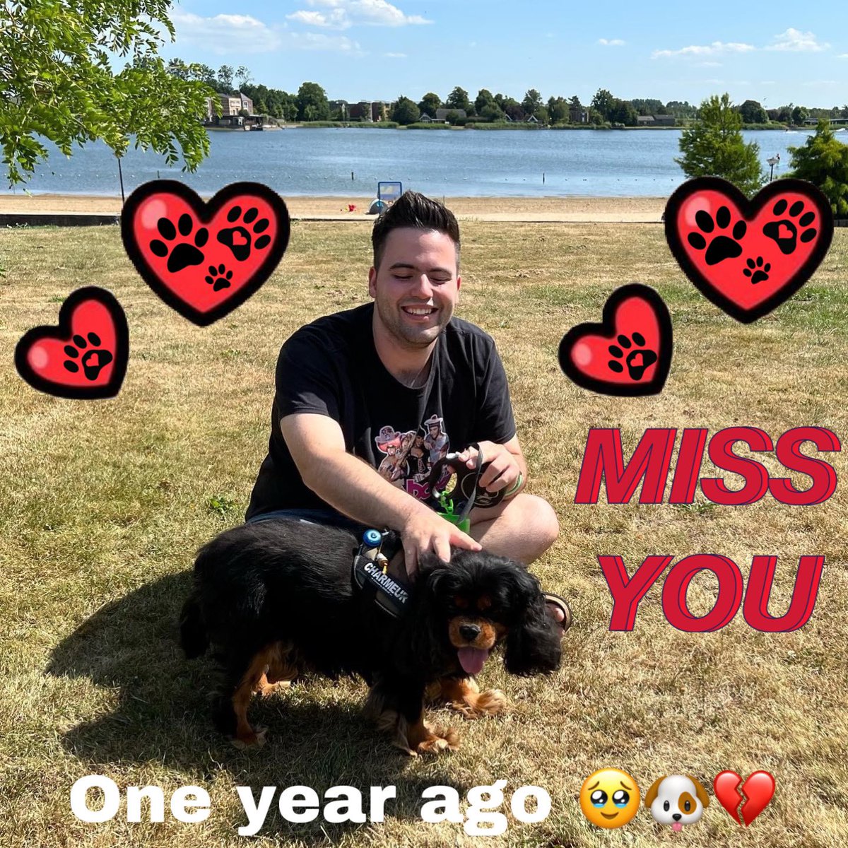 1 jaar geleden, we missen je lieve Gijs! 🥹🐶💔 #oneyearagotoday #dogmemories #missyou #foreverinourhearts #memorieslastforever #but #missyousomuch #bestdogever #liefstehond