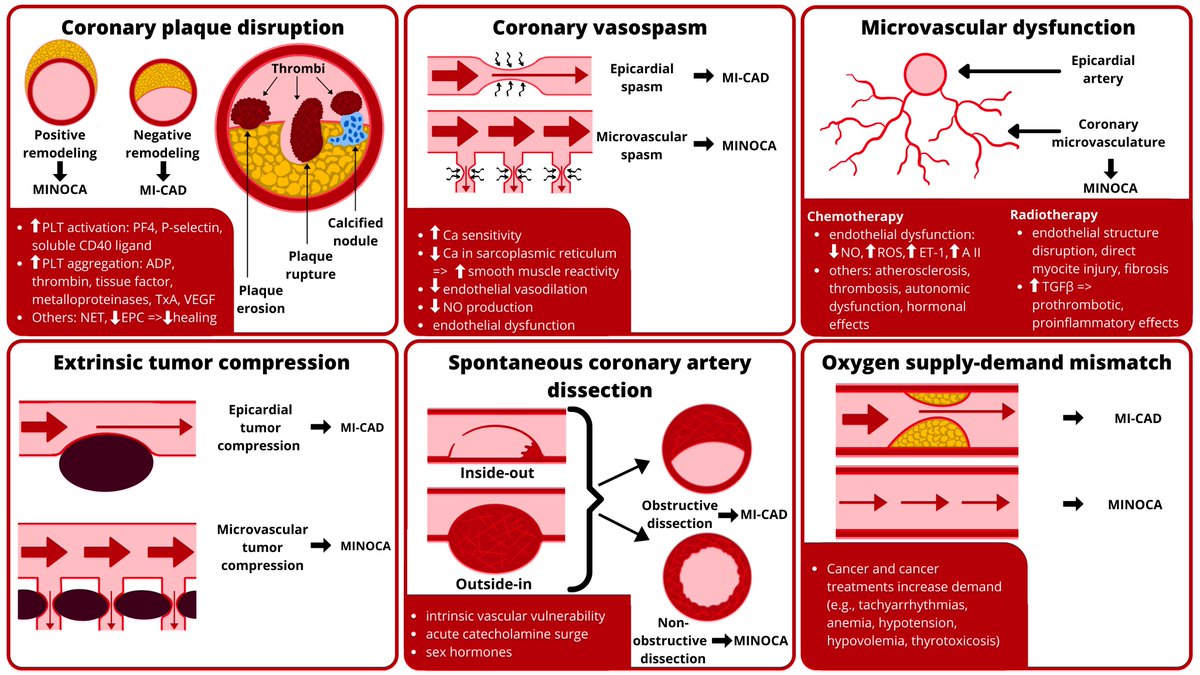 📍Authors: @dinubalanescu, @TDonisan, @datsunian, @purviparwani, @mayocvonc, @IvanHansonMD et al. Welcome to read the publication below🔔