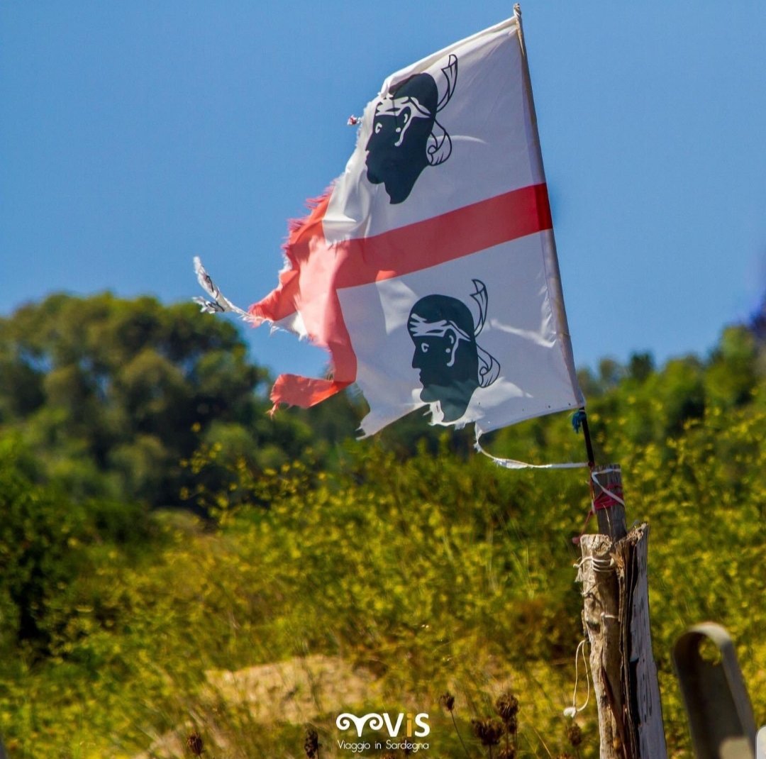 Claudia34006660's tweet image. Anche oggi maestrale e Canadair sopra la testa.
È uno strazio vedere quelle immagini e solo chi ama la propria terra può capire cosa sia avere il terrore della perdita. La nostra #Sardegna è forte e si rialzera' come sempre, ma quegli #infami rimarranno tali a vita. 😡