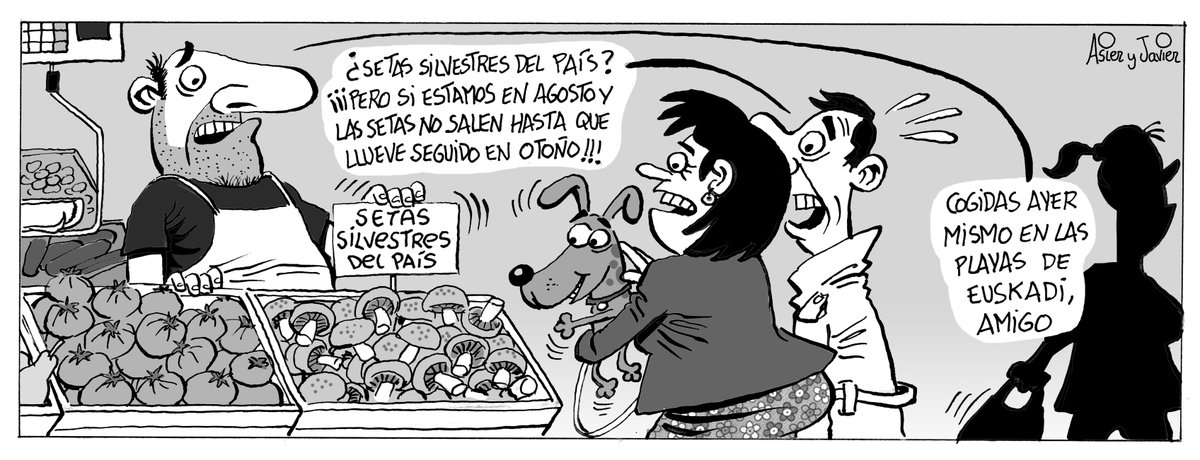 asiersanznieto's tweet photo. La tira de hoy en Deia, Noticias de Gipuzkoa y Noticias de Álava. #Euskadi #Verano #Playas #Sirrimiri #Lluvia #Galerna #Nublado #Humedad #Refresca #Setas @deia_eus https://t.co/5gc5lM4aSf