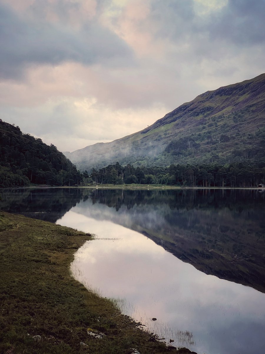 mark littlejohn tweet media