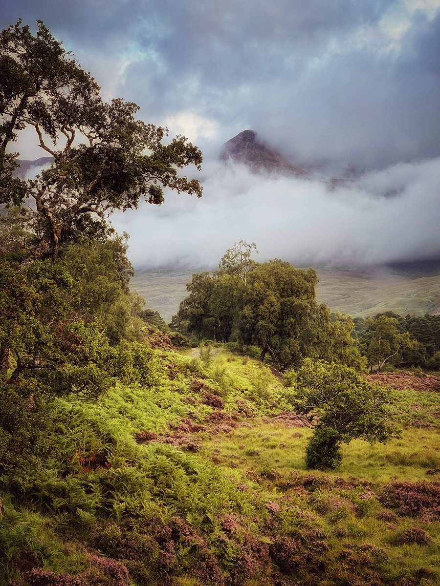 mark littlejohn tweet media