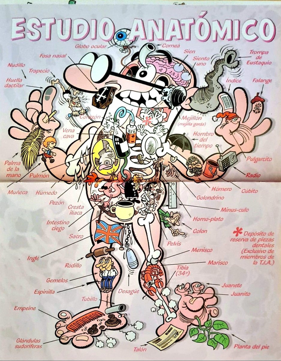 La clase de anatomía que todos hubiéramos querido recibir. Del maestro de maestros. 🤣
