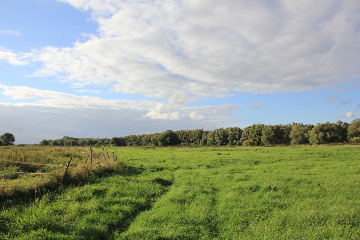 Vollhöfner Wald wird 38. Naturschutzgebiet| Senator <a href="/JensKerstan/">Jens Kerstan</a>: „Der Völli bleibt. Dieser Entschluss beendet ein langes Ringen um diesen einzigartigen kleinen Urwald, der nun auch in Zukunft Heimat vieler bedrohter Tier- und Pflanzenarten bleiben wird." t.hh.de/17293242