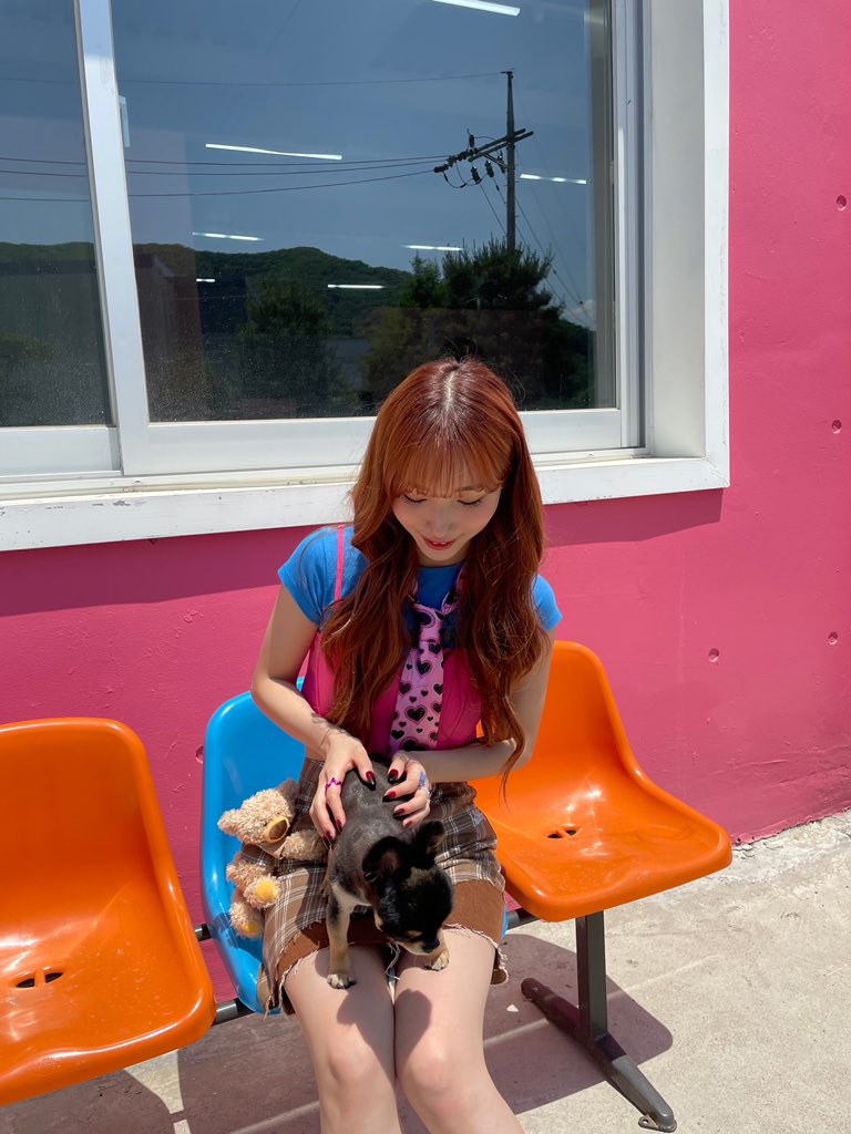 youngeunbbl's tweet photo. 🦊🫧📸[230807]
5:51pm kst https://t.co/pOiKxSO1z4