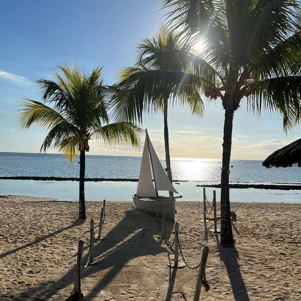 Beachcomber_'s tweet photo. Laissez-vous aller à des moments de pur bonheur au Victoria Beachcomber. Ici, vous contemplerez la beauté de la côte nord-ouest de l’île Maurice.
#VictoriaBeachcomber #IleMaurice #Vacances #BeachcomberExperiences https://t.co/cLEODtKFvo