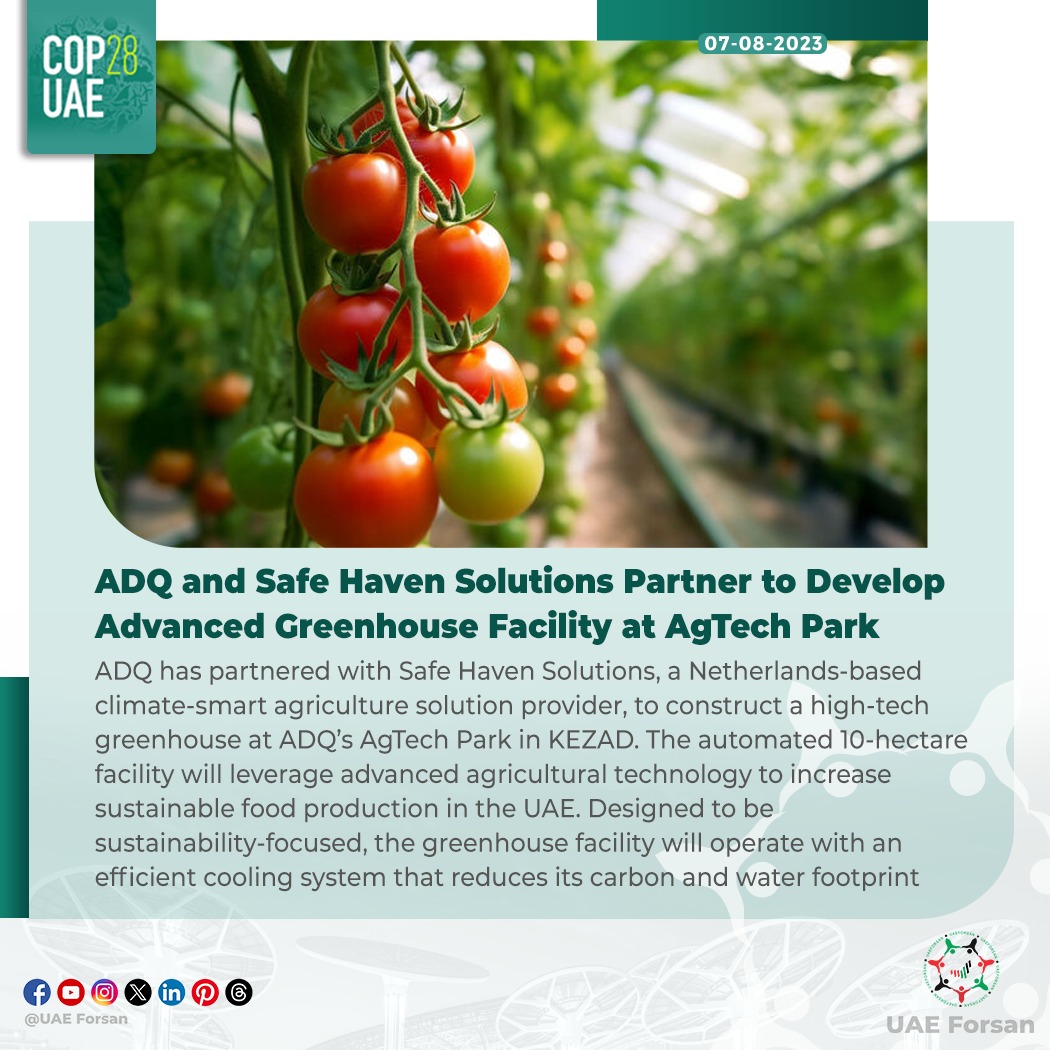 UAE_Forsan's tweet photo. ADQ and Safe Haven Solutions Partner to Develop Advanced Greenhouse Facility at AgTech Park
#UAE #ADQ #AbuDhabi #InvestingInGrowth #AgTech #COP28UAE #TodayforTomorrow #ClimateChange #ClimateAction #UnitedForClimate
@COP28_UAE
@Adq_Official https://t.co/eoSs3LU811
