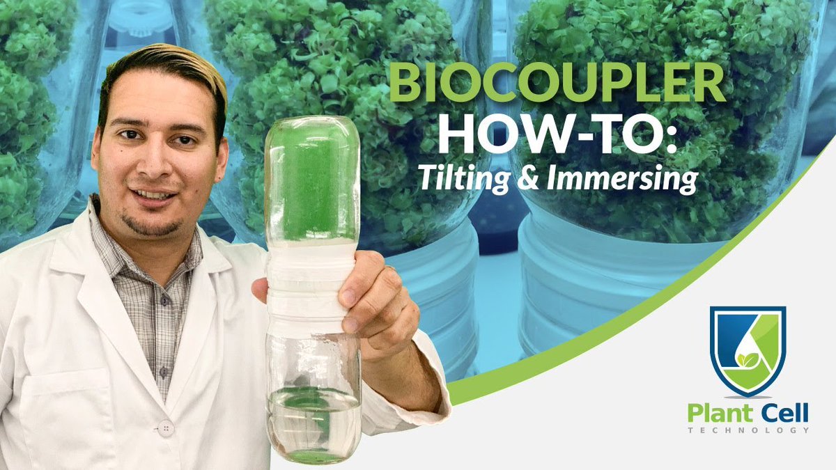 Available at labretoria.com the Biocoupler™ from <a href="/PlantCellNews/">Plant Cell Technology News</a> is a must have for veteran plant culturists and beginners alike.

youtu.be/dvszVmC-c-I

#labretoria #plantcelltechnology #planttissueculture #laboratoryequipment #plantvirus #cannabis  #biocoupler