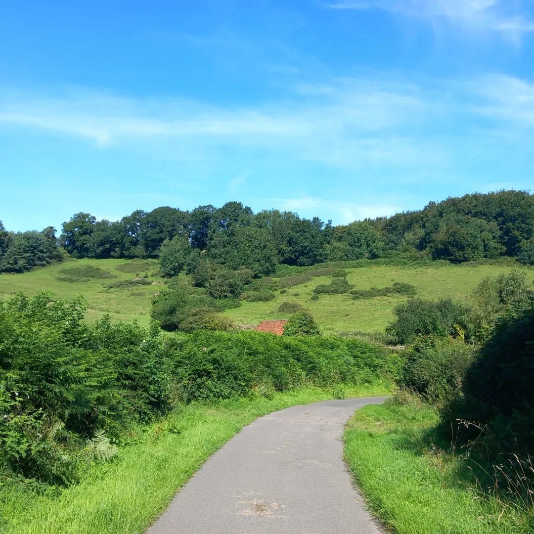 lazyperfection's tweet photo. Morning run in the countryside #wiltshirerunner #running #exercise #lovewhereyoulive #countryrun #wiltshire #longleat #cranbornechase #countrylane #countryside #summer #flowers #outdoors #bluesky https://t.co/5HJ3o1TSoZ