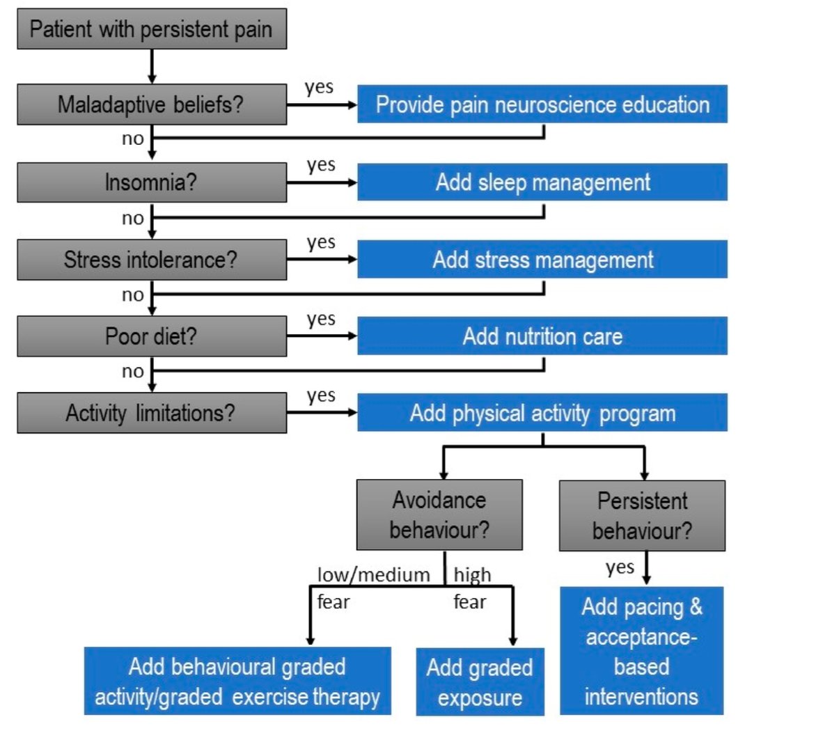 مجموعة علم الألم SPTA tweet media
