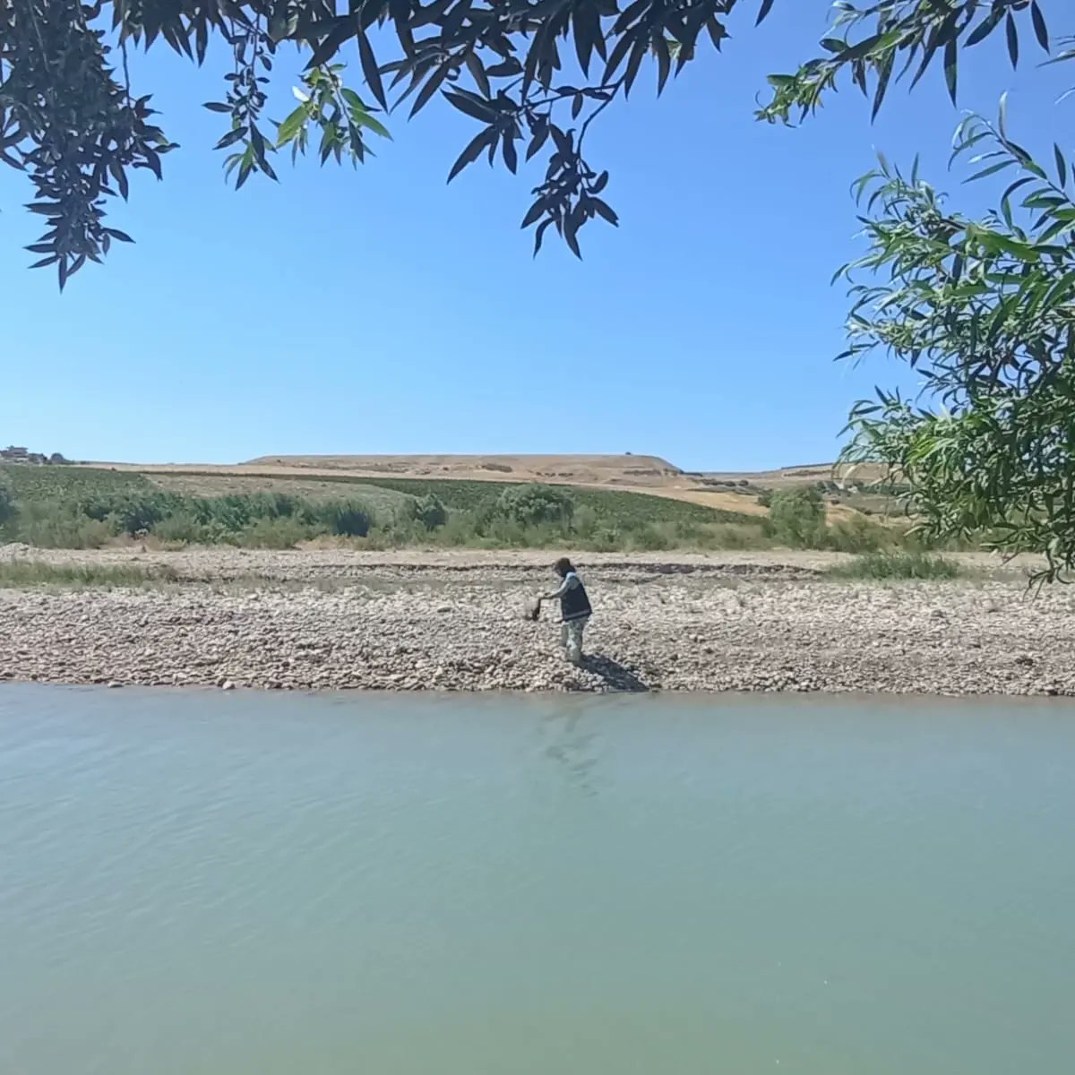Su ürünleri kontrol ekibimiz avlak sahalarında denetim yaparak atıl durumda bulunan tırıvırıları topladı.
Tırıvırının üretimi, satışı, istihsal yerleri civarında bulundurulması ve su ürünleri avcılığında kullanılması yasaktır.