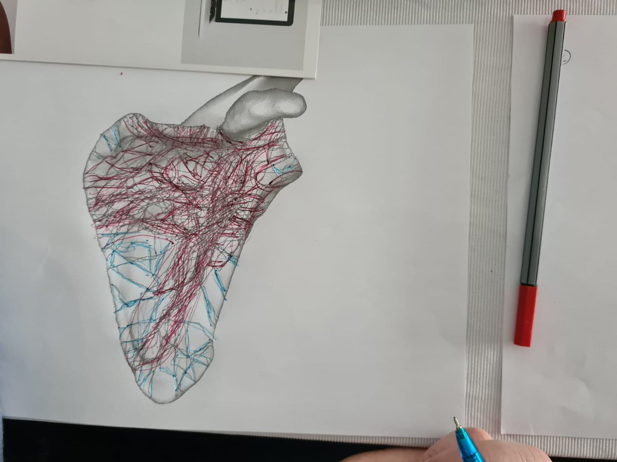 dey_roo's tweet photo. It was an amazing experience presenting at #ISMS2023 at @UCTGSB in Cape Town.

Thank you for the opportunity @leonard_shapiro @SudeshSivarasu 

#artinanatomy #bonefractures @UCT_HUB @UCTHealthSci @UCTMedTech @UCT_Research @UCT_news https://t.co/ZKMmQNbgac