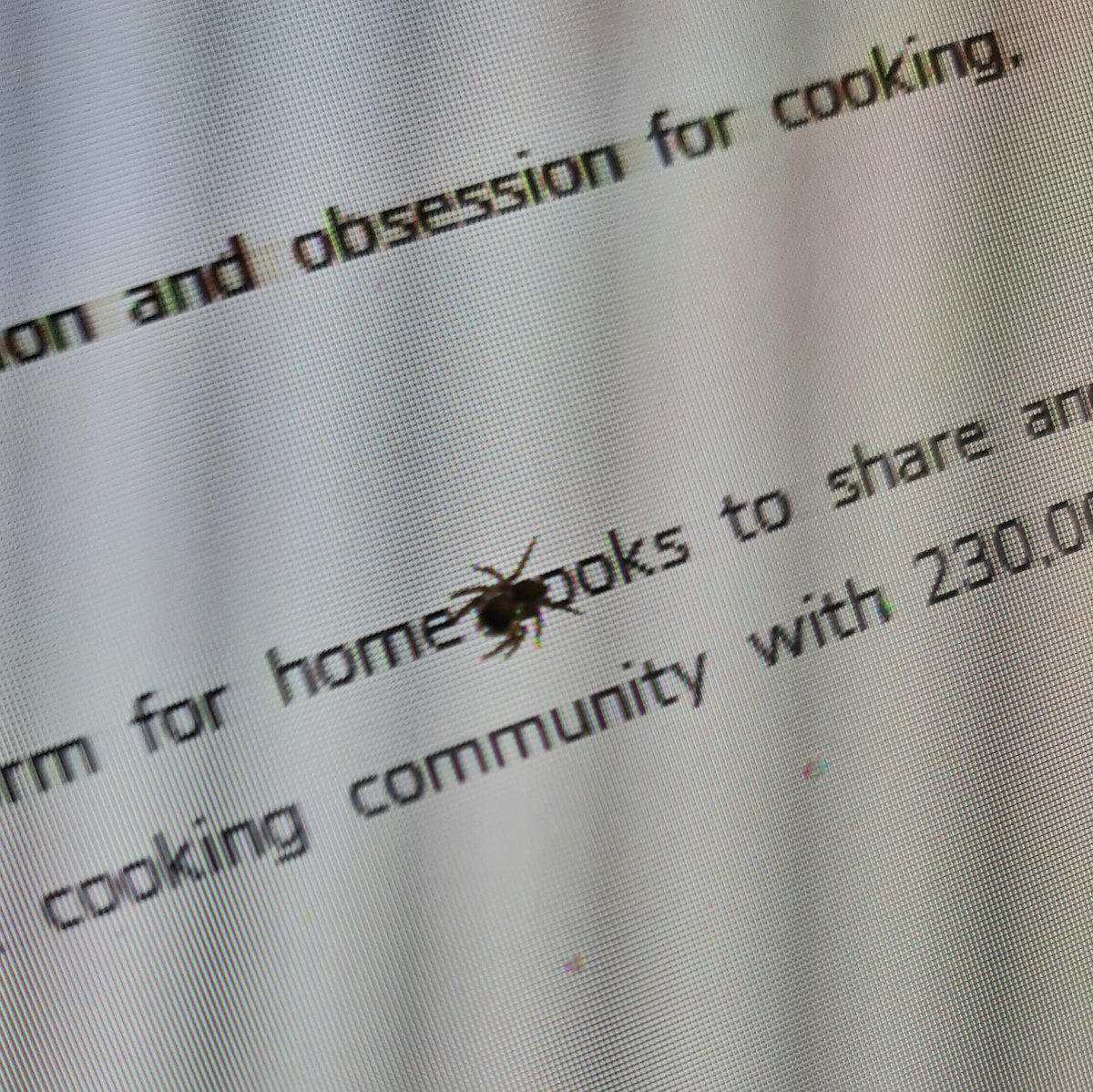 Itsy Bitsy Spider was assisting me with my work (apparently) #spider #itsybitsyspider