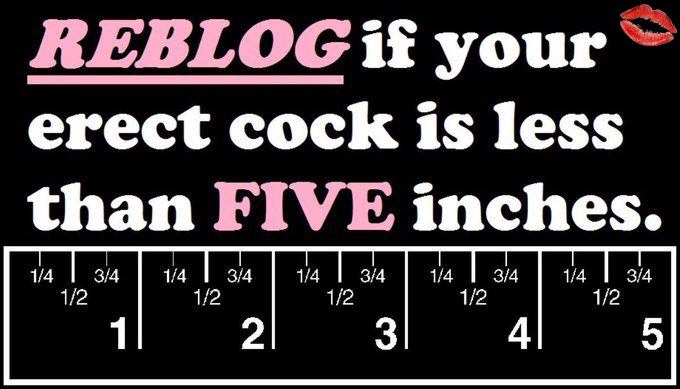 SmallPenisHumiliation💋 (@cuckolds4u) on Twitter photo 