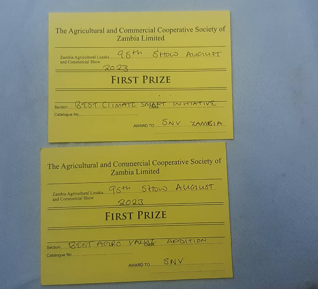 lucy fulgence tweet media