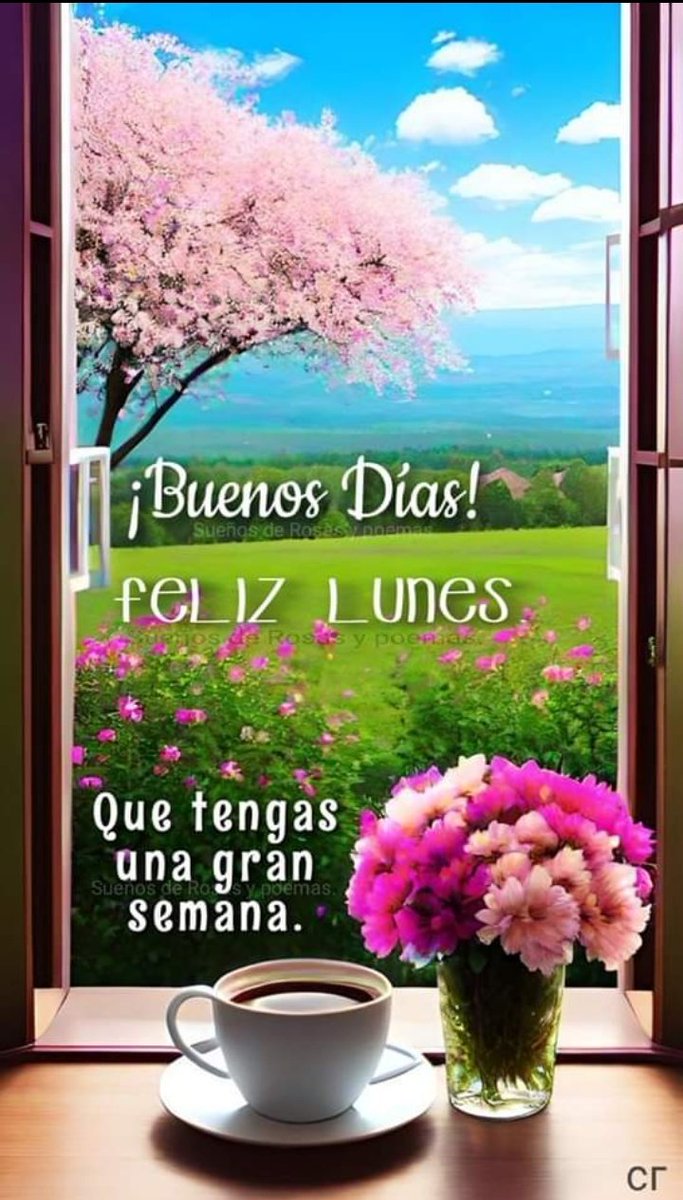GrisRamirezSan's tweet photo. ✋✋ https://t.co/V9BKswCGph
