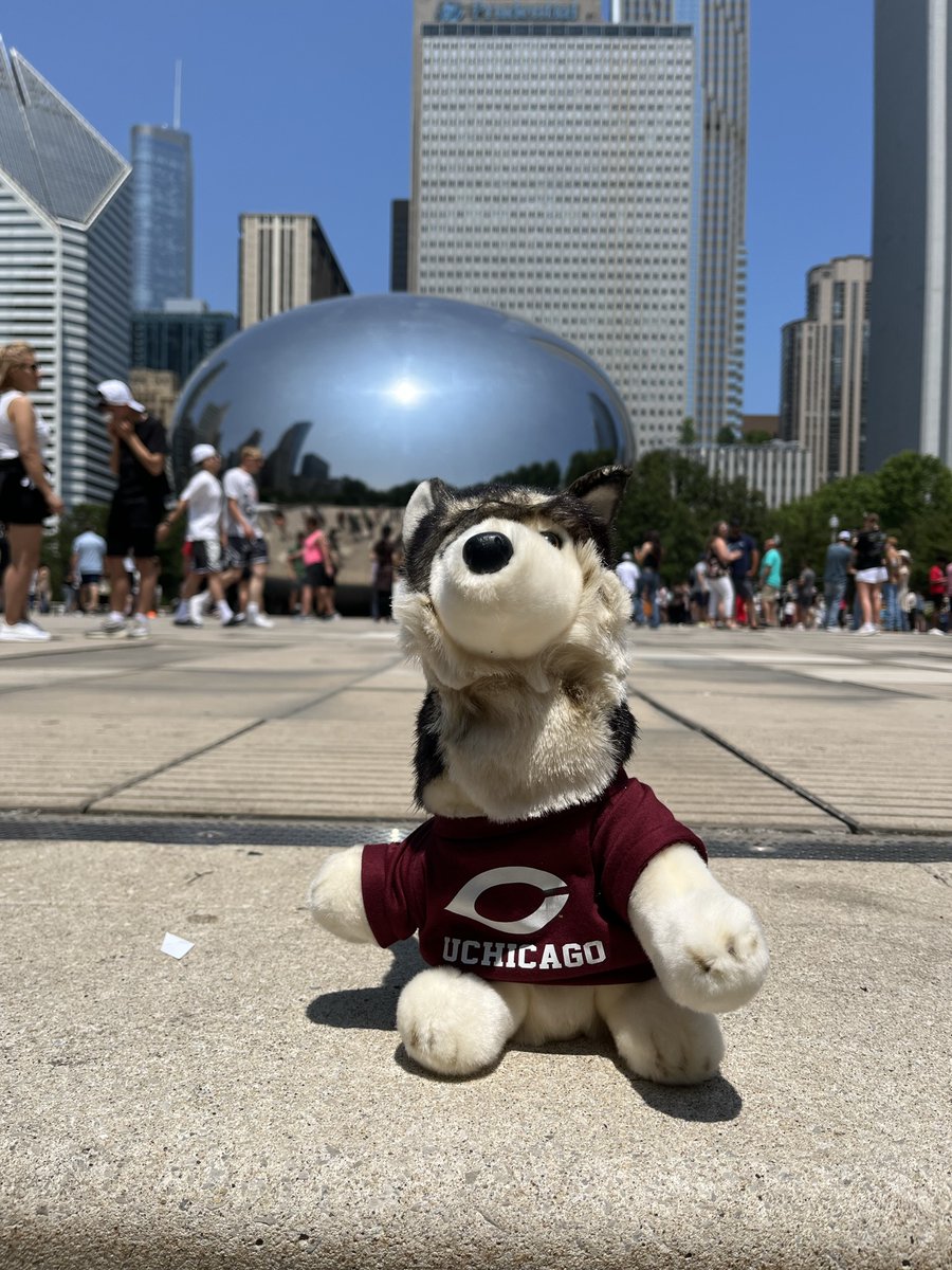 The Open Library Foundation (@openlibraryfdn) on Twitter photo Wolfie is on Cloud (Gate) 9 in anticipation of seeing everyone at #WOLFcon23 in Chicago! 
Register now. ow.ly/U9gU50P7xxJ Wolfie is on Cloud (Gate) 9 in anticipation of seeing everyone at #WOLFcon23 in Chicago! 
Register now. ow.ly/U9gU50P7xxJ