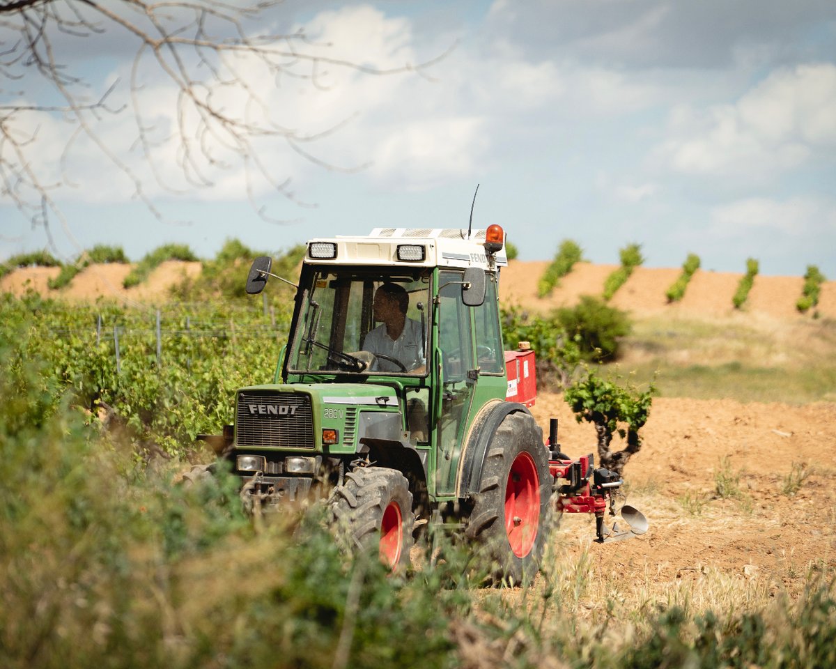 Los trabajos en la viña no cesan durante el verano, seguimos poniendo guapas nuestras viñas para lo próxima vendimia.

#viñedos #TresPiedras