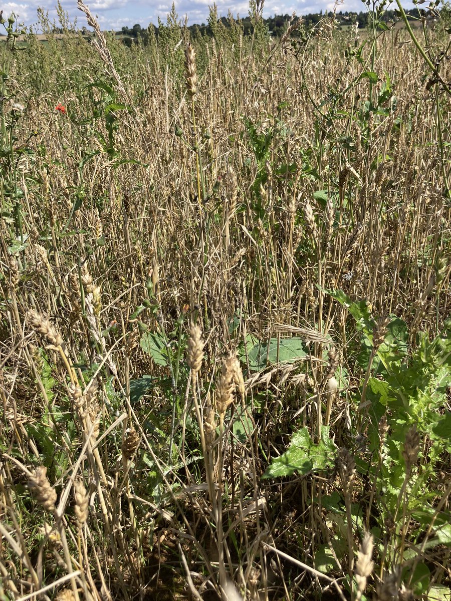 Neil Woolliscroft tweet media