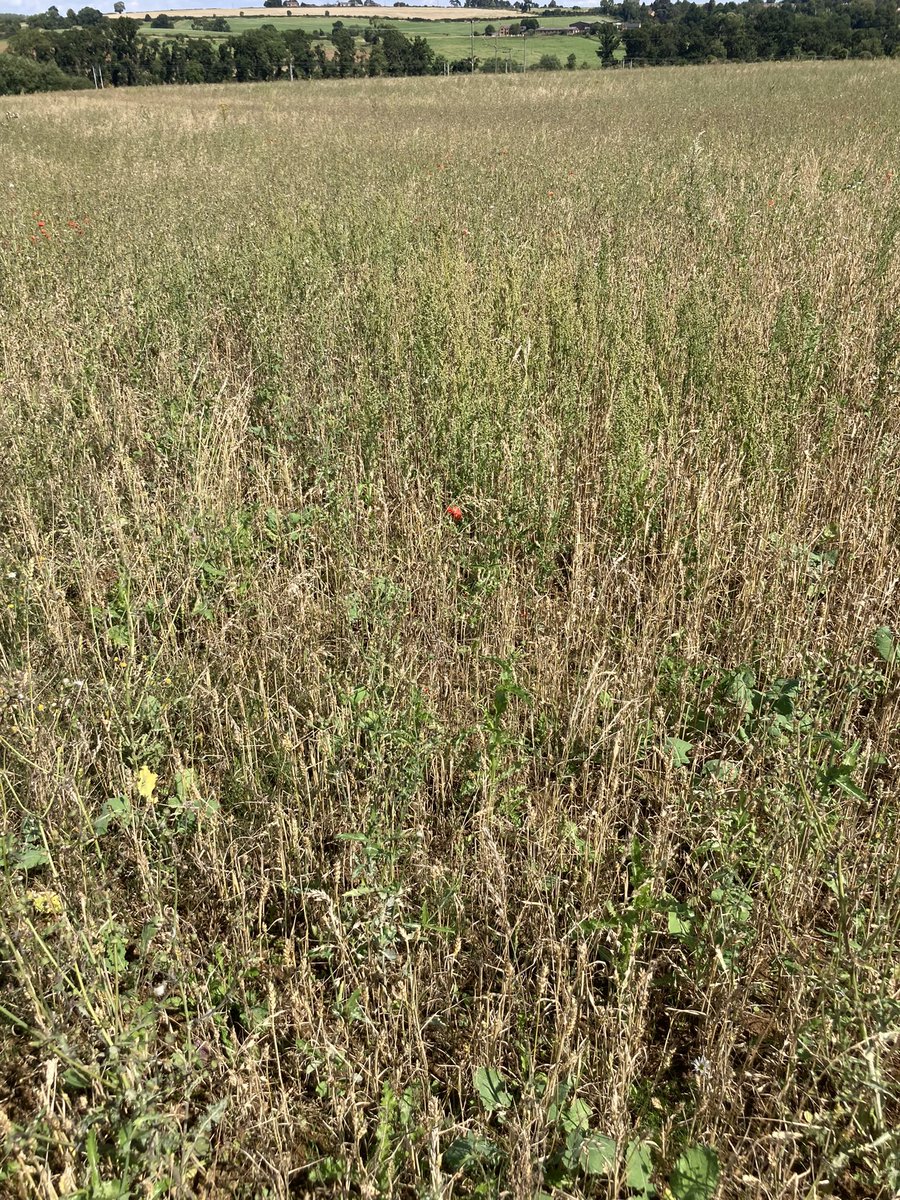 Neil Woolliscroft tweet media