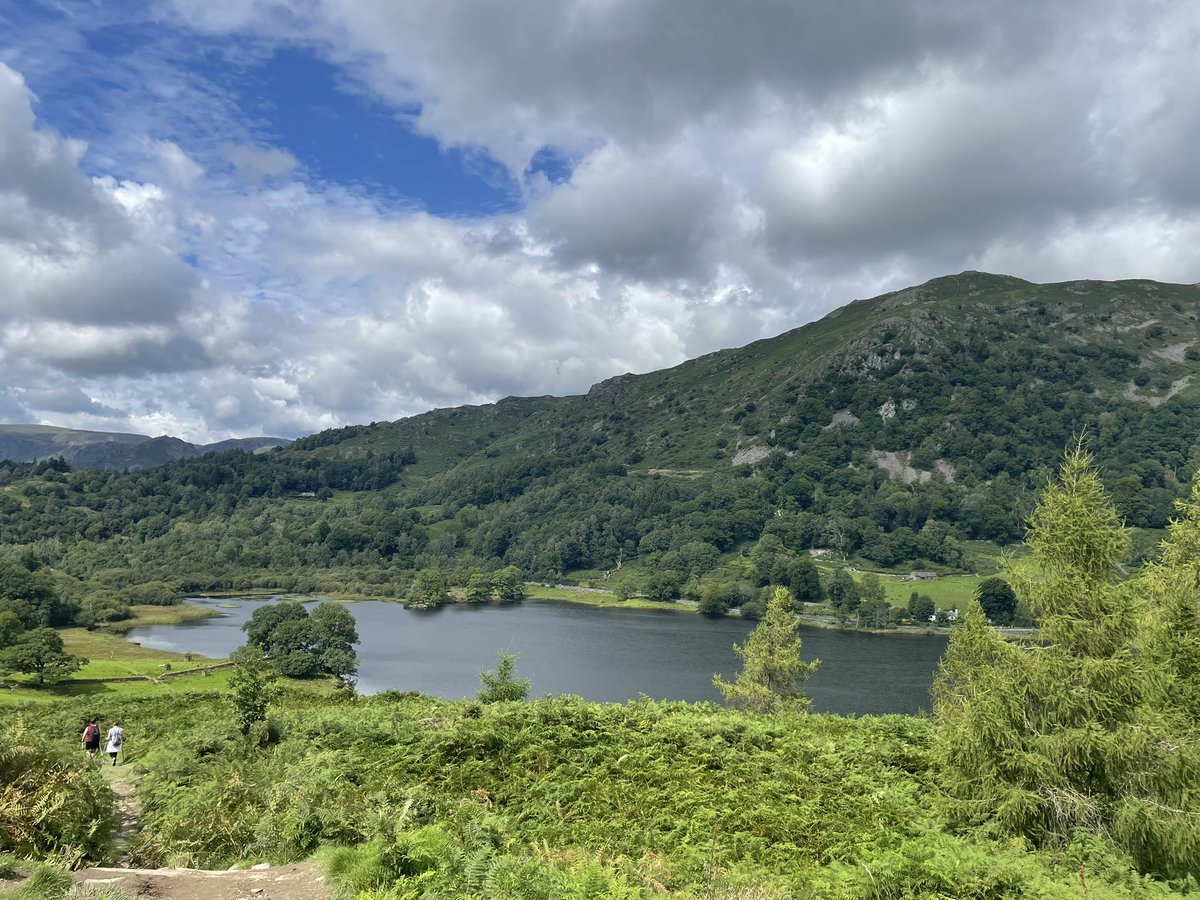 Kenny koala tweet media