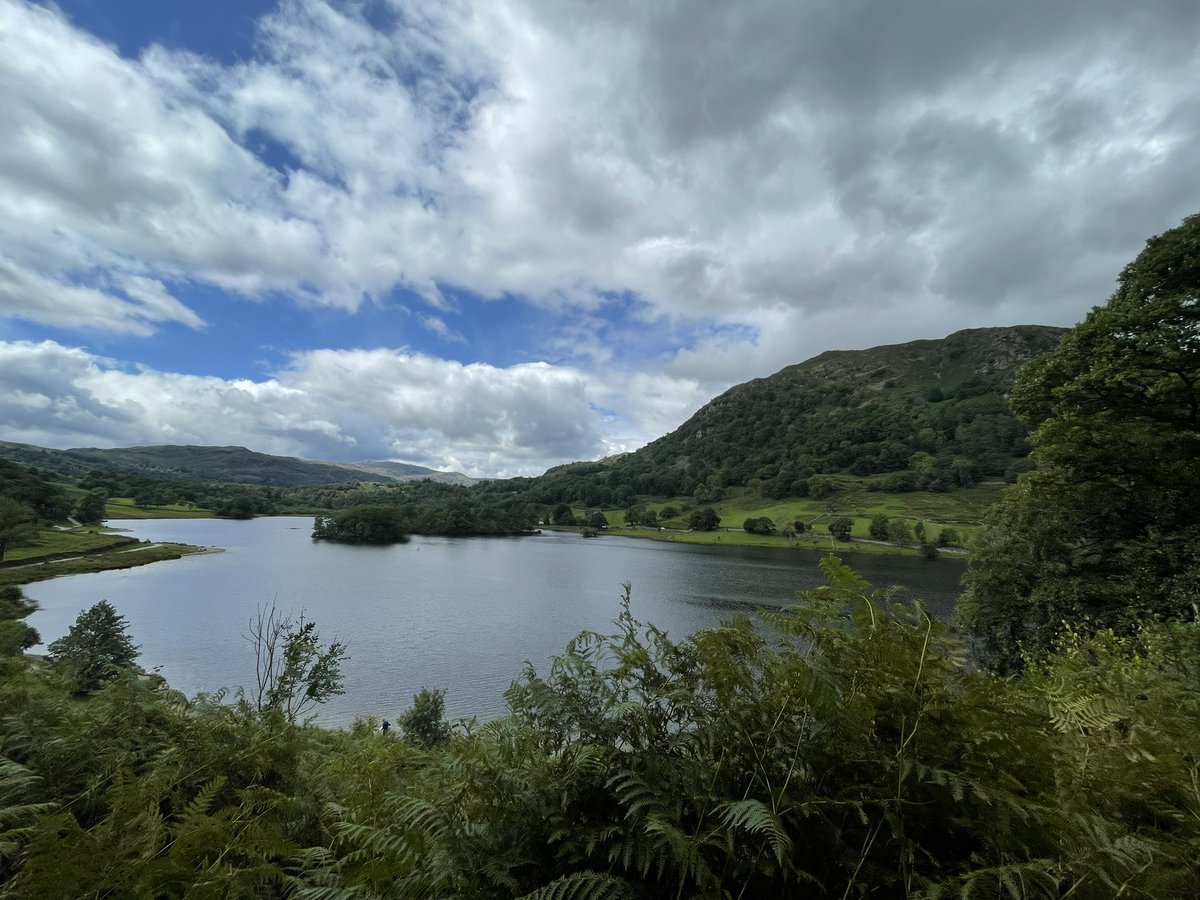 Kenny koala tweet media