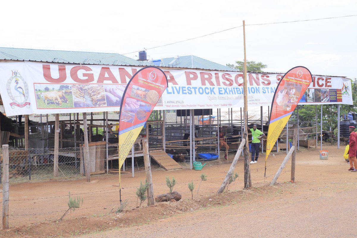 UgandaPrisons's tweet image. From the lush green fields to the bustling marketplace, let's visit the the Uganda Prisons exhibition centre at the Source of the Nile in Jinja City and witness the brilliance of modern agricultural technologies, traditional wisdom and sustainable practices. 

#AgricShow2023
