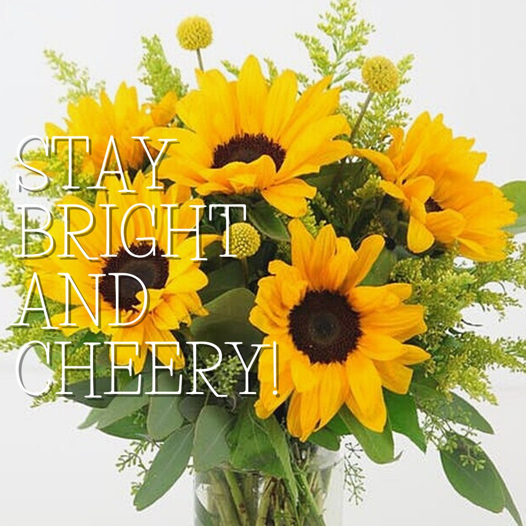 Sunflower Classic features locally grown #sunflowers and unique billy ball flowers. 🌻 Stay Bright. Stay Cheerful 😊 with sunflowers! 🌻

🌞Stop in our #Holland or #GrandHaven flower and gift shop, or visit HuismanFlowers.com.

#HuismanFlowers #floralgifts #flowers #florist