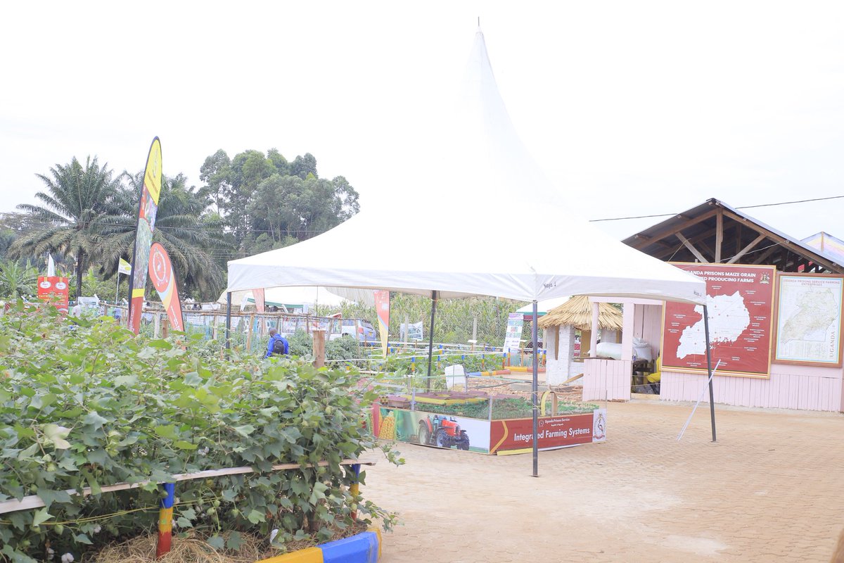 UgandaPrisons's tweet image. From the lush green fields to the bustling marketplace, let's visit the the Uganda Prisons exhibition centre at the Source of the Nile in Jinja City and witness the brilliance of modern agricultural technologies, traditional wisdom and sustainable practices. 

#AgricShow2023
