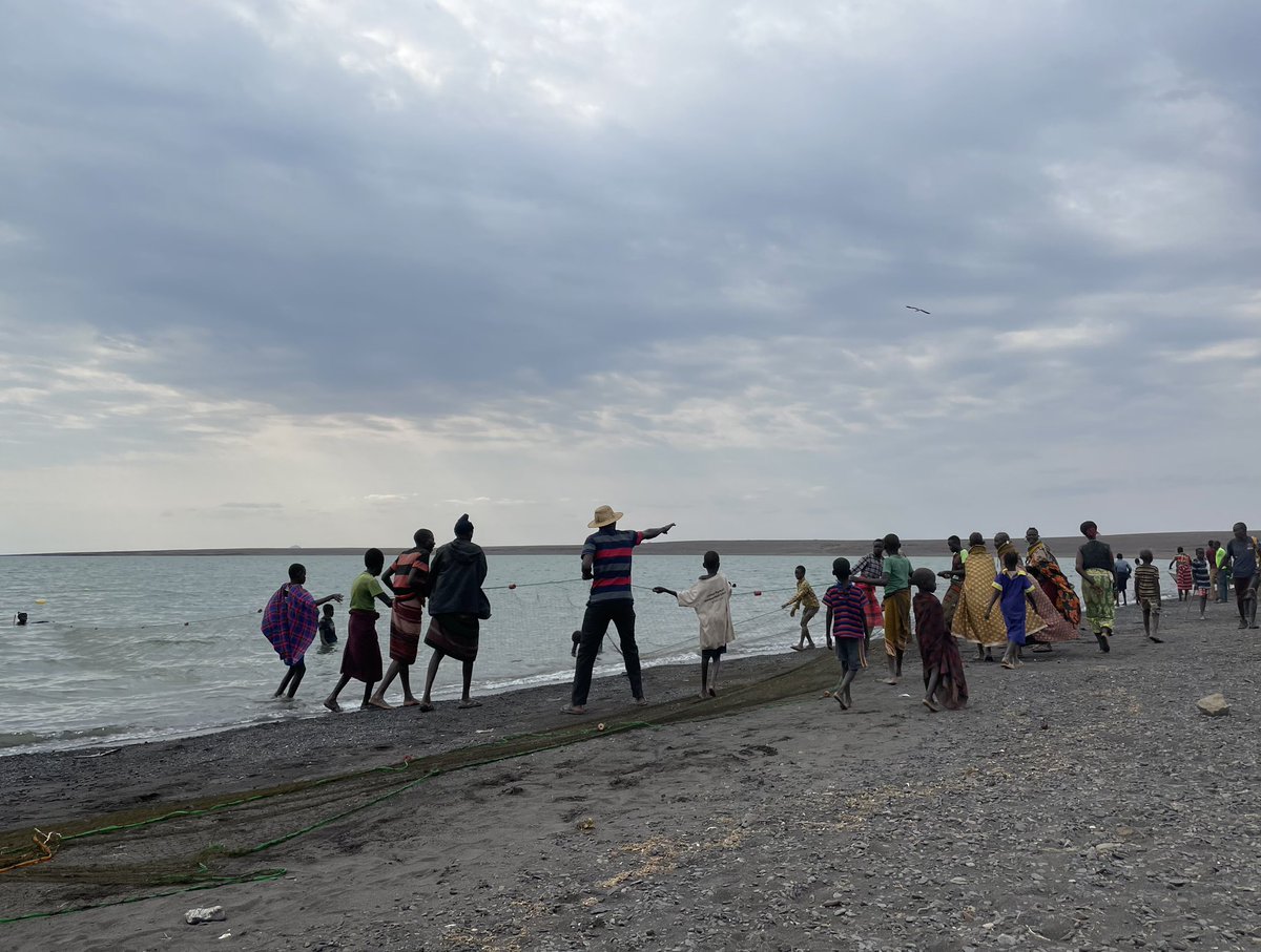 Netherlands Embassy in Kenya tweet media