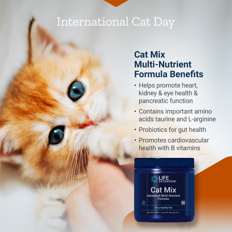 LifeExtension's tweet photo. Everyone has needs, including your cat! Today and everyday, we celebrate our feline friends. Our high-quality pet supplement for cats provides nutritional support to help keep your pet healthy. Happy #InternationalCatDay! ๐ป #catmemes #catlover #catlife #meow #catsupplement #cats