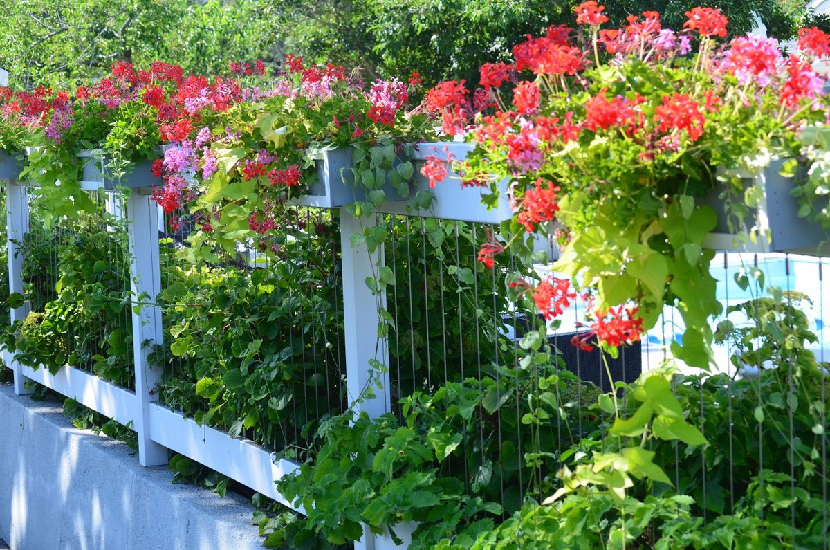 TheDrakeInn's tweet photo. Need to get away from it all and just relax? The Drake Inn is the perfect place for you!

Visit our website to make your reservation
https://t.co/mRc0b5xjGp

#thedrakeinn #goodmorning #thehamptons #vacationrentalhomes #vacationrentals #hamptonbays #waterfrontliving https://t.co/sv8iPUbTI5