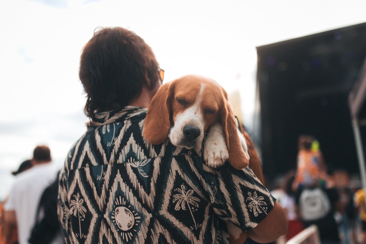 Como levades a resaca emocional post Loro Facu? Nós xa queremos voltar! 🦜✨

📸 <a href="/AIGIBOGA/">AIGIBOGA</a> 
🫱🏻‍🫲🏼 <a href="/VibraMahou/">Vibra Mahou</a> <a href="/DACCultura/">Cultura Depu. Coruña</a> 
🦜 #LoroFacu2023
