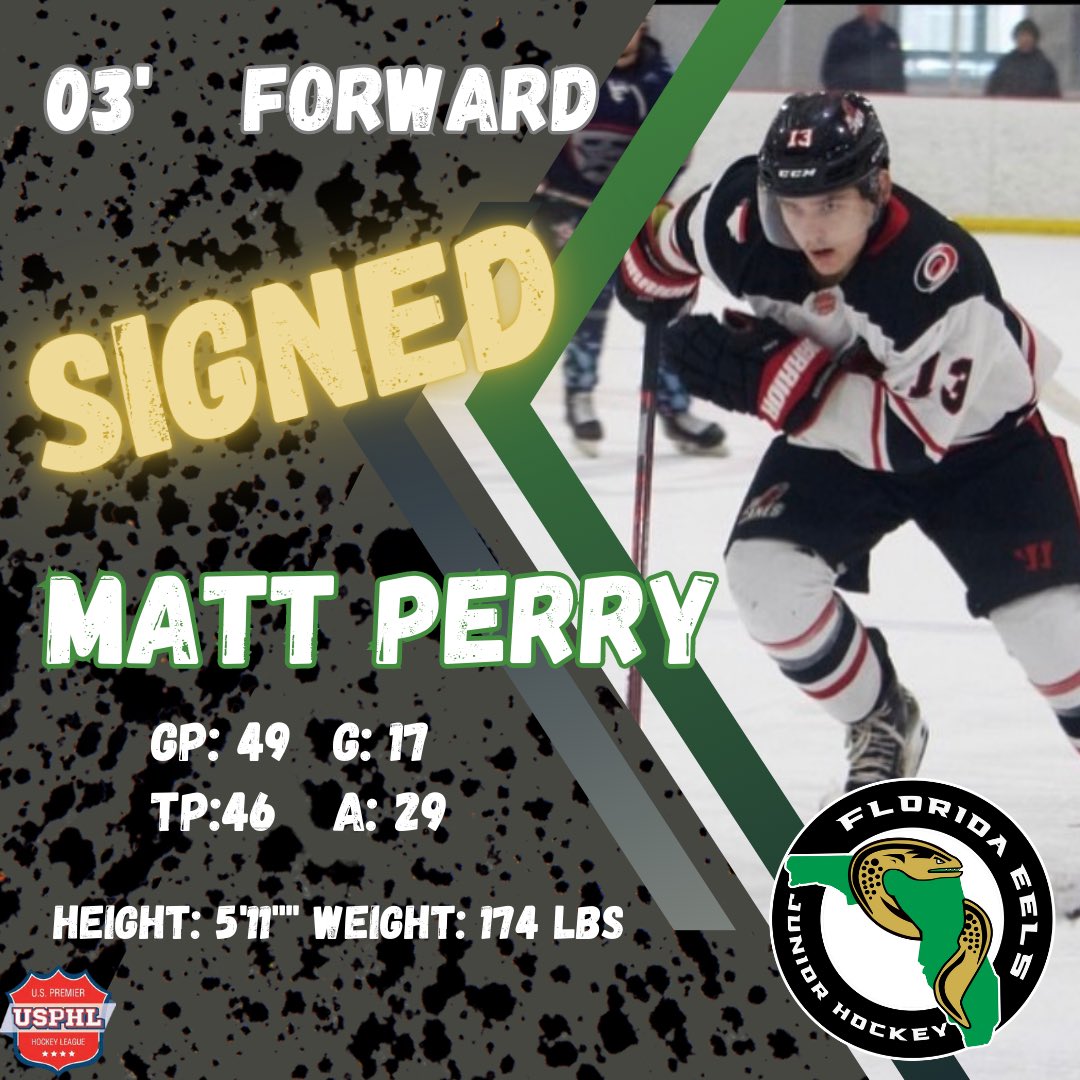 FloridaEels's tweet photo. π¨Signing Alert π¨
Florida Eels are excited to announce the signing of 03β forward, Matthew Perry!! Welcome Matt! #fleels https://t.co/Ffrb0GF2zv