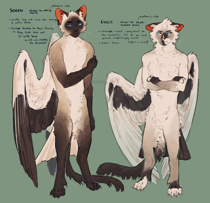 bird cats!