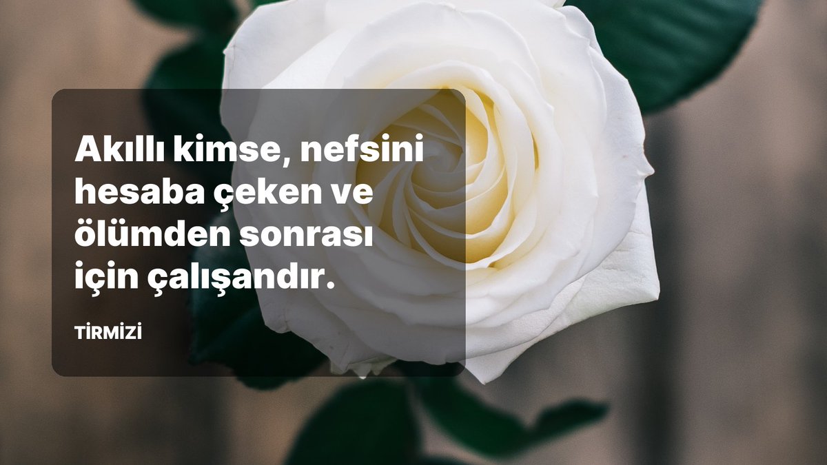 EnGuzelHadisler's tweet photo. Akıllı kimse, nefsini hesaba çeken ve ölümden sonrası için çalışandır. Tirmizi https://t.co/1JttHwoaUJ