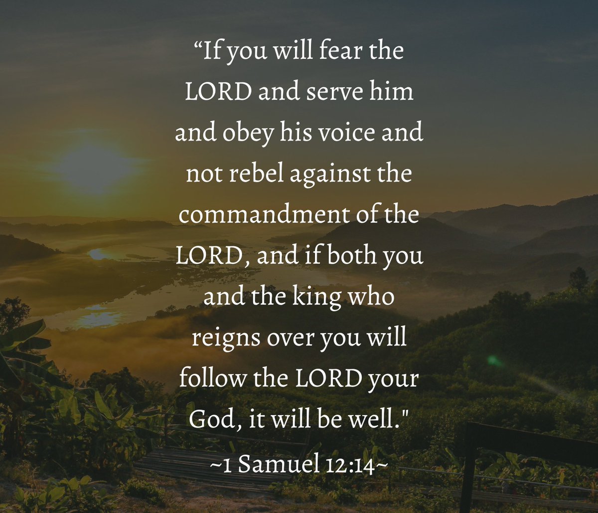 real_trdshow's tweet image. This verse hardly needs any commentary! It's about as clear as it gets... God's commandments are important not just for individuals for for Kings also. #theonomy #christisking #grace #faith #reformed