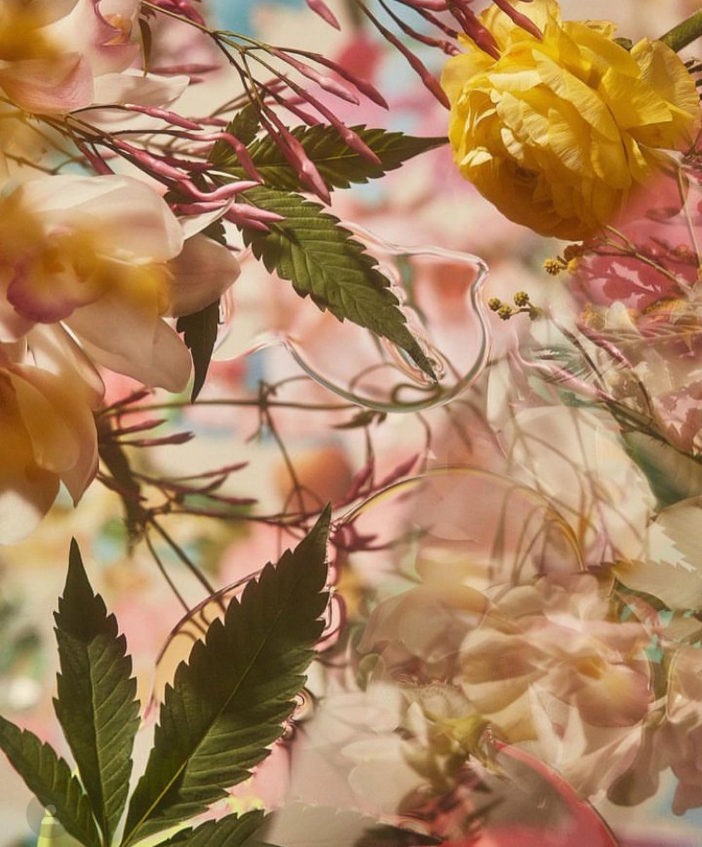 Countdown to Women’s Day 

📸 broccoli_mag